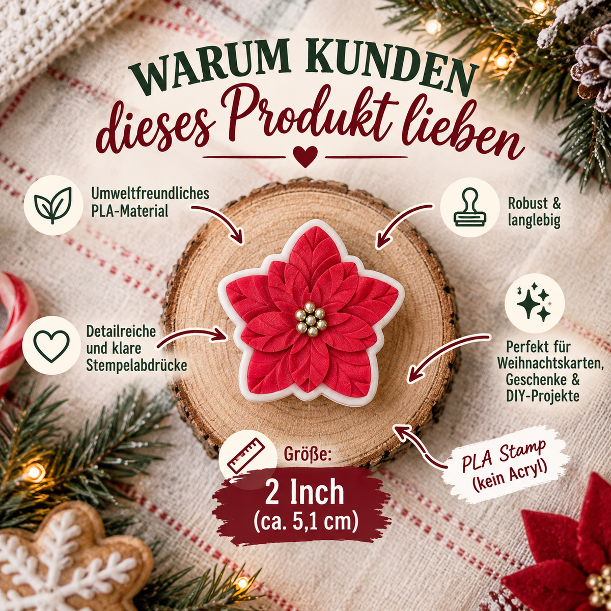Weihnachtsstern