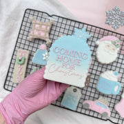 Coming Home For Christmas